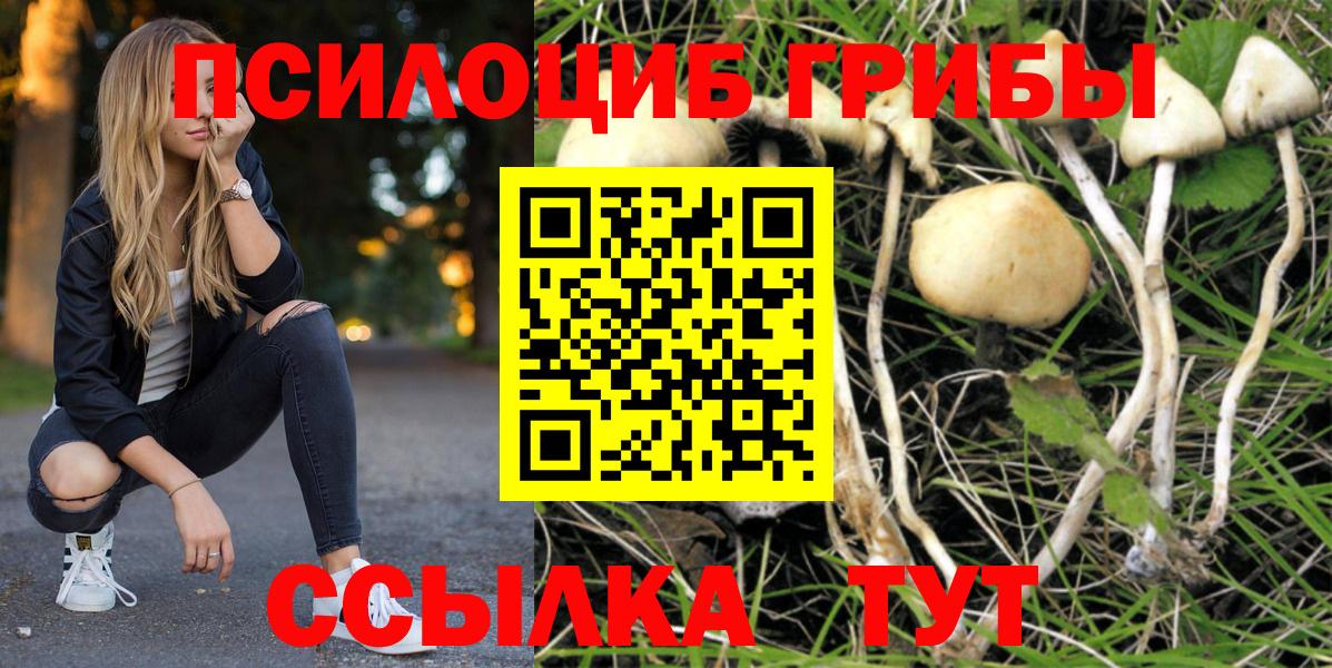 Псилоцибиновые грибы мицелий Когалым